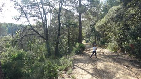 Ruta por la Serra de Galliners: ascendiendo al Turó de Mataric y al Turó de Can Camps | Sant Cugat del Vallès Ruta por la Serra de Galliners: ascendiendo al Turó de Mataric y al Turó de Can Camps | Sant Cugat del Vallès