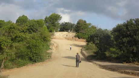 Ruta por la Serra de Galliners: ascendiendo al Turó de Mataric y al Turó de Can Camps | Sant Cugat del Vallès Ruta por la Serra de Galliners: ascendiendo al Turó de Mataric y al Turó de Can Camps | Sant Cugat del Vallès