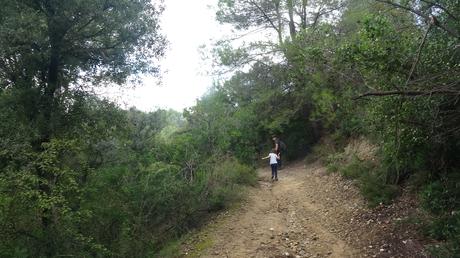 Ruta por la Serra de Galliners: ascendiendo al Turó de Mataric y al Turó de Can Camps | Sant Cugat del Vallès Ruta por la Serra de Galliners: ascendiendo al Turó de Mataric y al Turó de Can Camps | Sant Cugat del Vallès