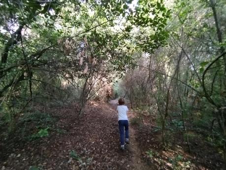 Ruta por la Serra de Galliners: ascendiendo al Turó de Mataric y al Turó de Can Camps | Sant Cugat del Vallès Ruta por la Serra de Galliners: ascendiendo al Turó de Mataric y al Turó de Can Camps | Sant Cugat del Vallès