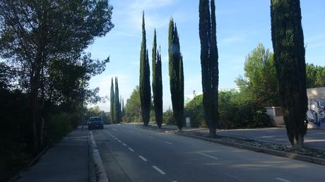 Ruta por la Serra de Galliners: ascendiendo al Turó de Mataric y al Turó de Can Camps | Sant Cugat del Vallès Ruta por la Serra de Galliners: ascendiendo al Turó de Mataric y al Turó de Can Camps | Sant Cugat del Vallès
