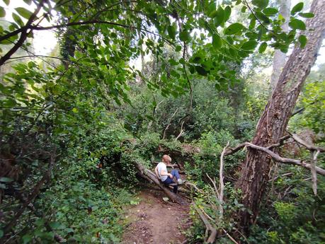 Ruta por la Serra de Galliners: ascendiendo al Turó de Mataric y al Turó de Can Camps | Sant Cugat del Vallès Ruta por la Serra de Galliners: ascendiendo al Turó de Mataric y al Turó de Can Camps | Sant Cugat del Vallès