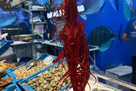 Pescadería Younes Ceuta refuerza su presencia en el Mercado Central con marisco vivo y atención por WhatsApp Pescadería Younes Ceuta refuerza su presencia en el Mercado Central con marisco vivo y atención por WhatsApp