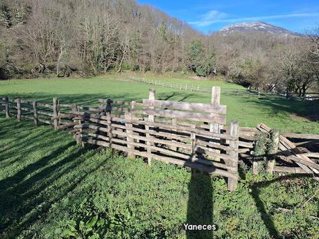 Campomanes-Erías-Fresneo-El Curuḷḷu Braña