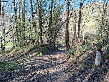Campomanes-Erías-Fresneo-El Curuḷḷu Braña