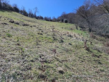 Campomanes-Erías-Fresneo-El Curuḷḷu Braña Campomanes-Erías-Fresneo-El Curuḷḷu Braña