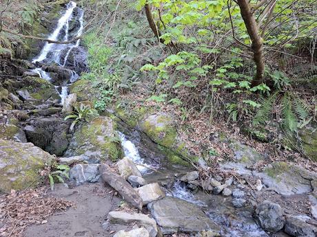 Campomanes-Erías-Fresneo-El Curuḷḷu Braña