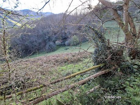 Campomanes-Erías-Fresneo-El Curuḷḷu Braña