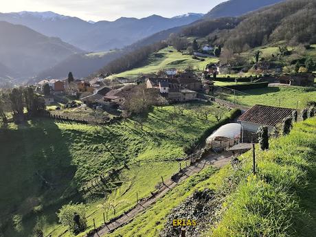 Campomanes-Erías-Fresneo-El Curuḷḷu Braña