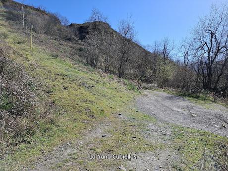 Campomanes-Erías-Fresneo-El Curuḷḷu Braña