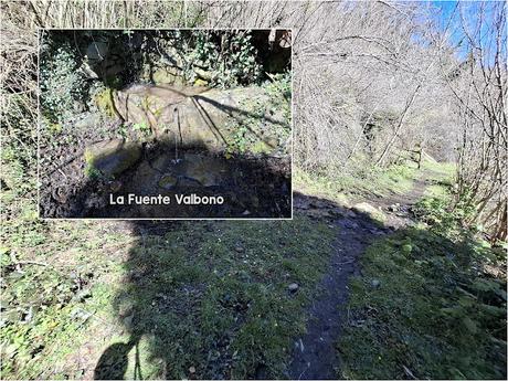 Campomanes-Erías-Fresneo-El Curuḷḷu Braña