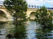 Ribereños celebran Supremo «avale» caudales ecológicos Tajo desestime recurso Murcia