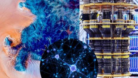 Google: cómo la investigación científica avanza en cáncer, computación cuántica y cambio climático Google: cómo la investigación científica avanza en cáncer, computación cuántica y cambio climático