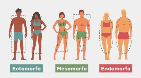 Ectomorfo: qué es, características y consejos de entrenamiento para este somatotipo