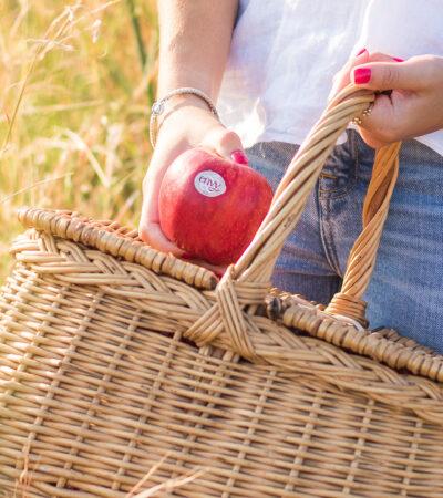 Manzanas Envy: dulzura natural y calidad desde La Rasa (Soria)