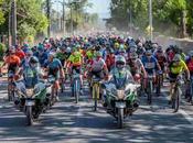 Todo tienes saber para Carlo Gavardo Vacada