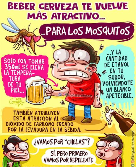 Beber cerveza atrae a los mosquitos Beber cerveza atrae a los mosquitos