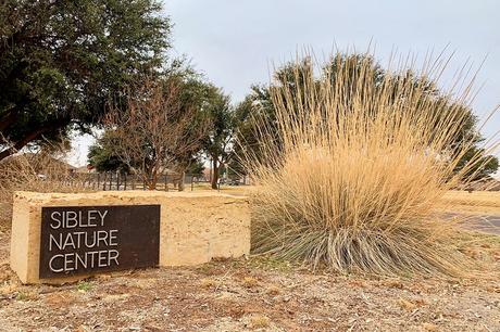 15 cosas mejor valoradas para hacer en Midland, TX 15 cosas mejor valoradas para hacer en Midland, TX