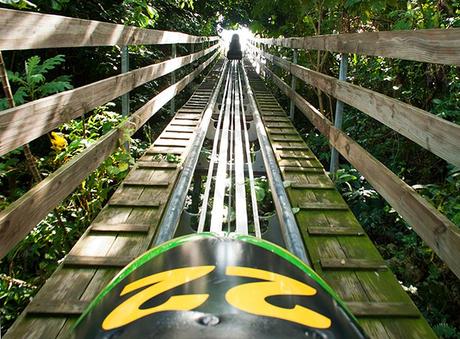 16 atracciones turísticas mejor calificadas en Jamaica 16 atracciones turísticas mejor calificadas en Jamaica