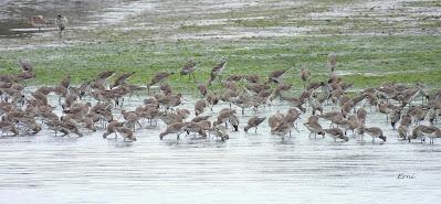 LA INVERNADA ESTÁ AL CAER