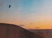 Imán, califato independiente: camino águila (1980)