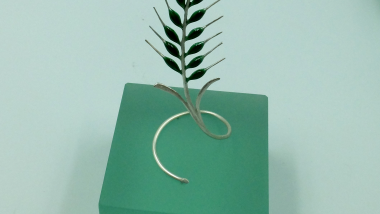 La Espiga Verde: Cine medioambiental en la SEMINCI 2025