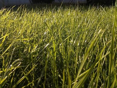 El forn rural en Montmajor: tarifas y reservas El forn rural en Montmajor: tarifas y reservas