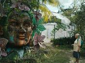 Sección Oficial SEMINCI 2025: “The Blue Trail”