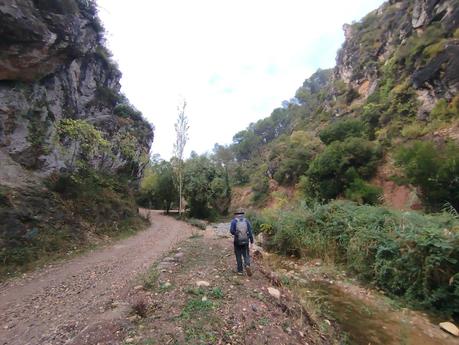 Senderismo en la Vall de Lladrons: descubre la Font de Jesús, el Salt de la Vall y las Cinc Fonts | Montblanc