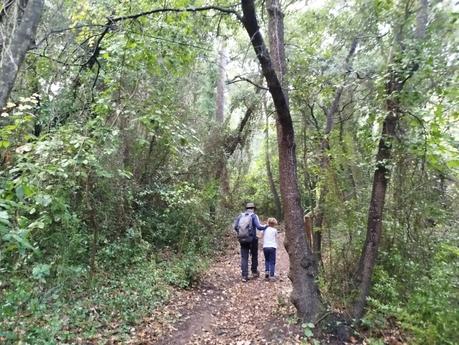 Senderismo en la Vall de Lladrons: descubre la Font de Jesús, el Salt de la Vall y las Cinc Fonts | Montblanc