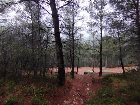 Senderismo en la Vall de Lladrons: descubre la Font de Jesús, el Salt de la Vall y las Cinc Fonts | Montblanc