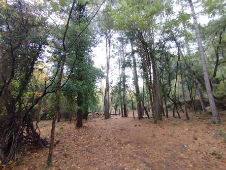 Senderismo en la Vall de Lladrons: descubre la Font de Jesús, el Salt de la Vall y las Cinc Fonts | Montblanc