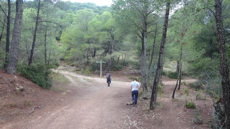 Senderismo en la Vall de Lladrons: descubre la Font de Jesús, el Salt de la Vall y las Cinc Fonts | Montblanc