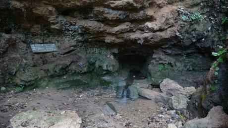 Senderismo en la Vall de Lladrons: descubre la Font de Jesús, el Salt de la Vall y las Cinc Fonts | Montblanc