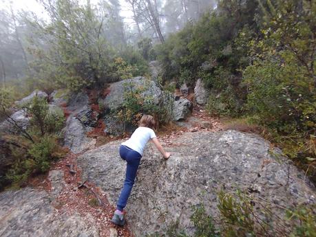 Senderismo en la Vall de Lladrons: descubre la Font de Jesús, el Salt de la Vall y las Cinc Fonts | Montblanc