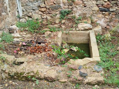 Senderismo en la Vall de Lladrons: descubre la Font de Jesús, el Salt de la Vall y las Cinc Fonts | Montblanc