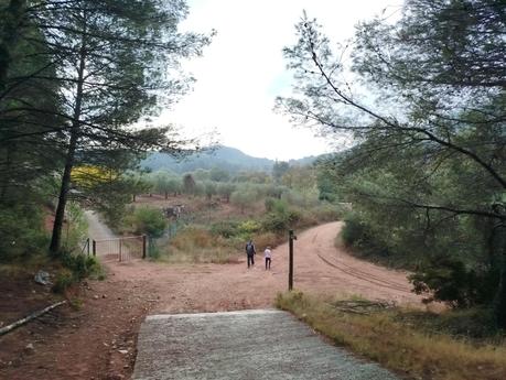 Senderismo en la Vall de Lladrons: descubre la Font de Jesús, el Salt de la Vall y las Cinc Fonts | Montblanc