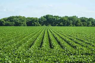 EN EL DESPERTAR DE LA AMÉRICA RURAL, EL DESPRECIO DE TRUMP POR SU BASE ELECTORAL SE HACE EVIDENTE. ESPECIAL 14 DE HOY DOMINGO, 26 DE OCTUBRE DE 2025 EN EL DESPERTAR DE LA AMÉRICA RURAL, EL DESPRECIO DE TRUMP POR SU BASE ELECTORAL SE HACE EVIDENTE. ESPECIAL 14 DE HOY DOMINGO, 26 DE OCTUBRE DE 2025