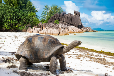 Los 10 mejores destinos para VIAJAR EN FAMILIA en 2026 Los 10 mejores destinos para VIAJAR EN FAMILIA en 2026