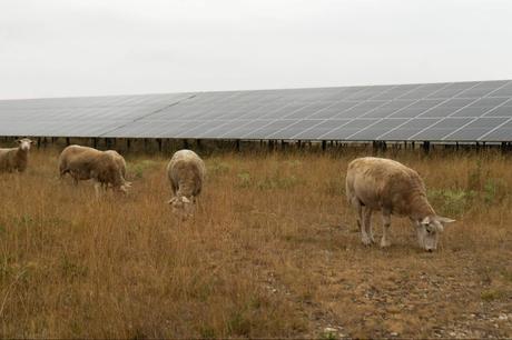 BayWa r.e. ofrece un modelo de operación y mantenimiento solar basado en eficiencia y control técnico BayWa r.e. ofrece un modelo de operación y mantenimiento solar basado en eficiencia y control técnico