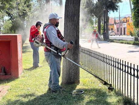 Gobierno de la Capital realiza jornada de limpieza y mantenimiento en la Calzada de Guadalupe Gobierno de la Capital realiza jornada de limpieza y mantenimiento en la Calzada de Guadalupe