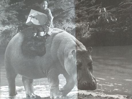 La niña que iba en hipopótamo a la escuela, de Yoko Ogawa