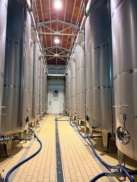 Finca Pago de La Jaraba: Un viaje sensorial por el alma de La Mancha