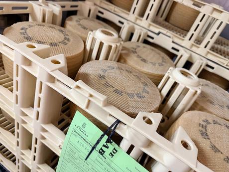 Finca Pago de La Jaraba: Un viaje sensorial por el alma de La Mancha