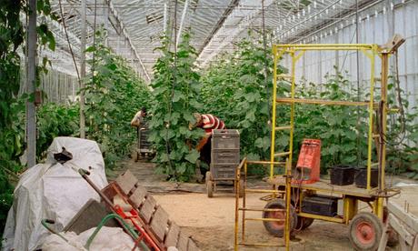 Sección Oficial Internacional de Cortometrajes SEMINCI 2025: “The Inhabitants” y “Bread will Walk” Sección Oficial Internacional de Cortometrajes SEMINCI 2025: “The Inhabitants” y “Bread will Walk”