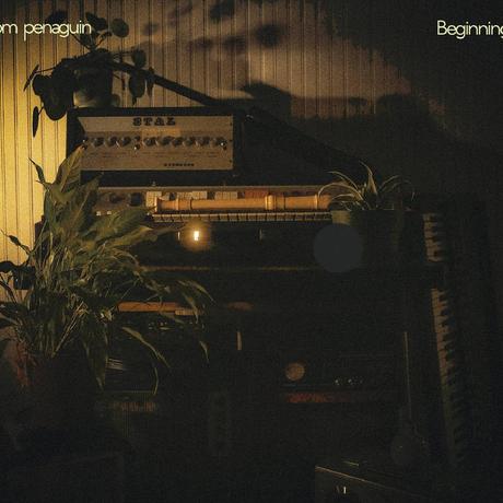 Tom Penaguin - Beginnings (2025) Tom Penaguin - Beginnings (2025)