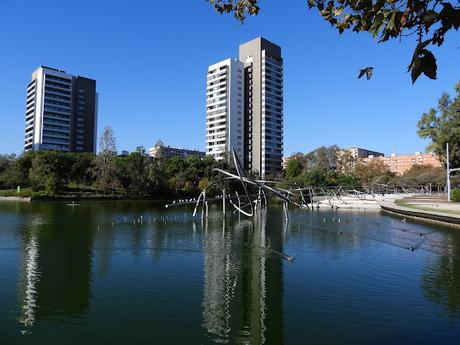 Gaviota anillada en Italia