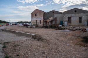 Ayuntamientos de Albacete contarán con una nueva línea de ayudas para la recogida y atención de perros abandonados