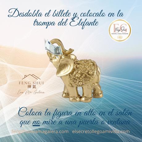 💵🐘Ritual del Elefante para la Abundancia 🐘