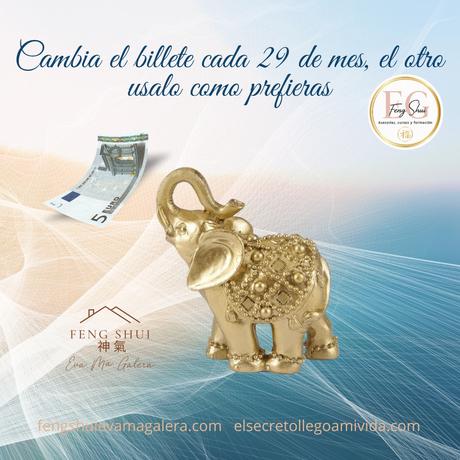 💵🐘Ritual del Elefante para la Abundancia 🐘